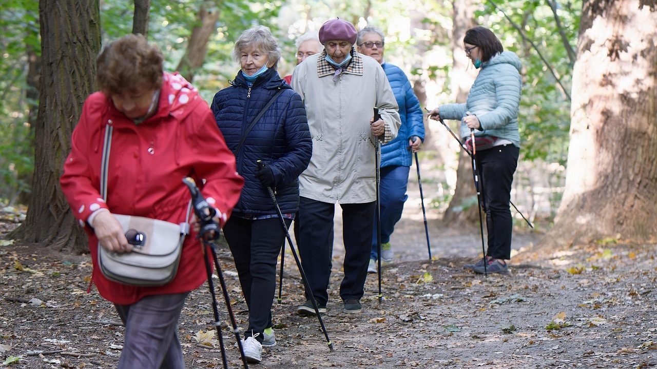 Groupe de seniors qui pratiquent la marche nordique en forêt