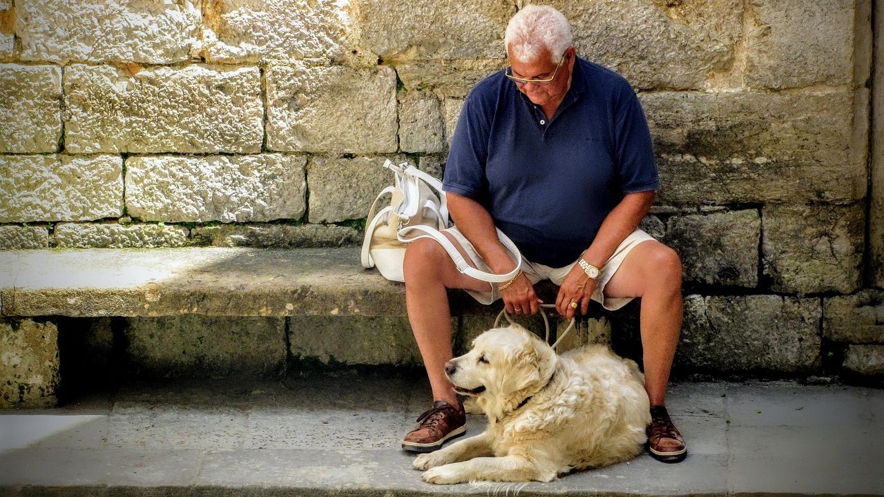 Un homme senior et son chien